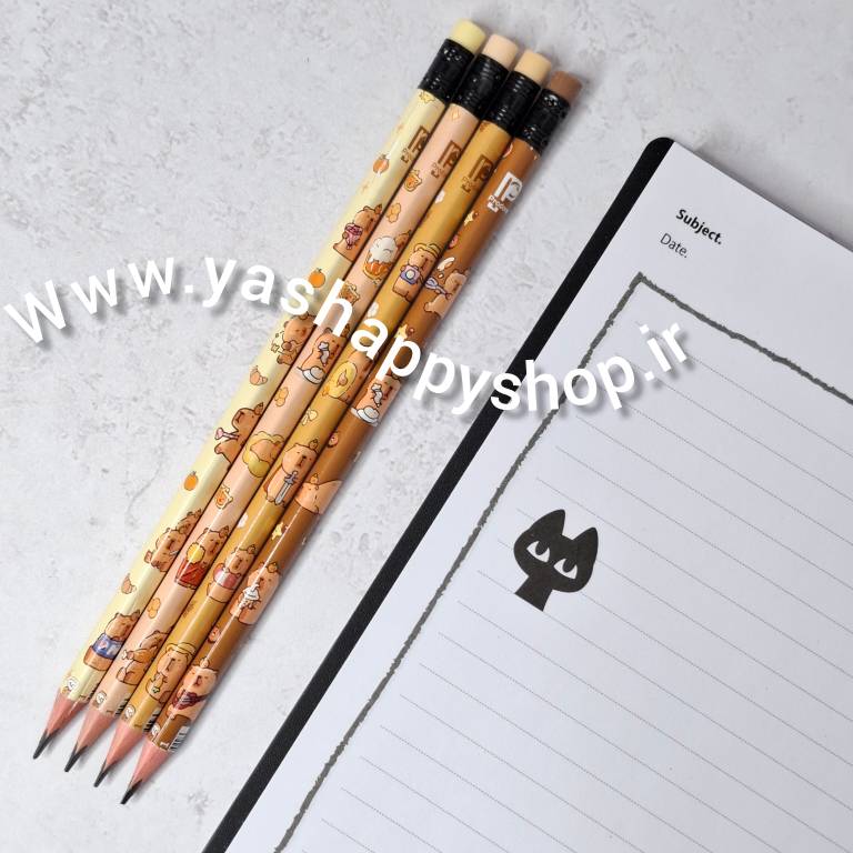 مداد مشکی پاکن دار کاپی بارا 4 عددی